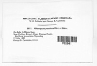 Image Associated With the Occurence